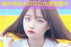 上海的农村合作社：扶贫的成功模式